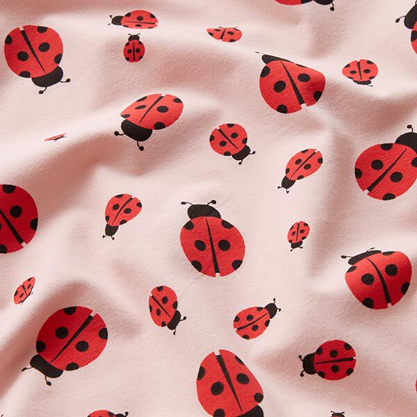 Jersey coton Coccinelles – rosé, image number 2