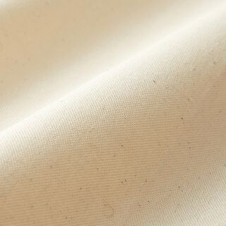 Tissu de décoration Semi-panama incolore 295 cm – nature, 
