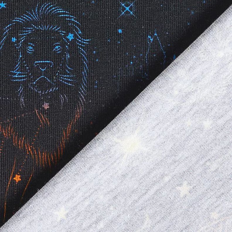 Jersey coton Tissu sous licence Emblèmes constellations Harry Potter | Warner Bros. – noir,  image number 4