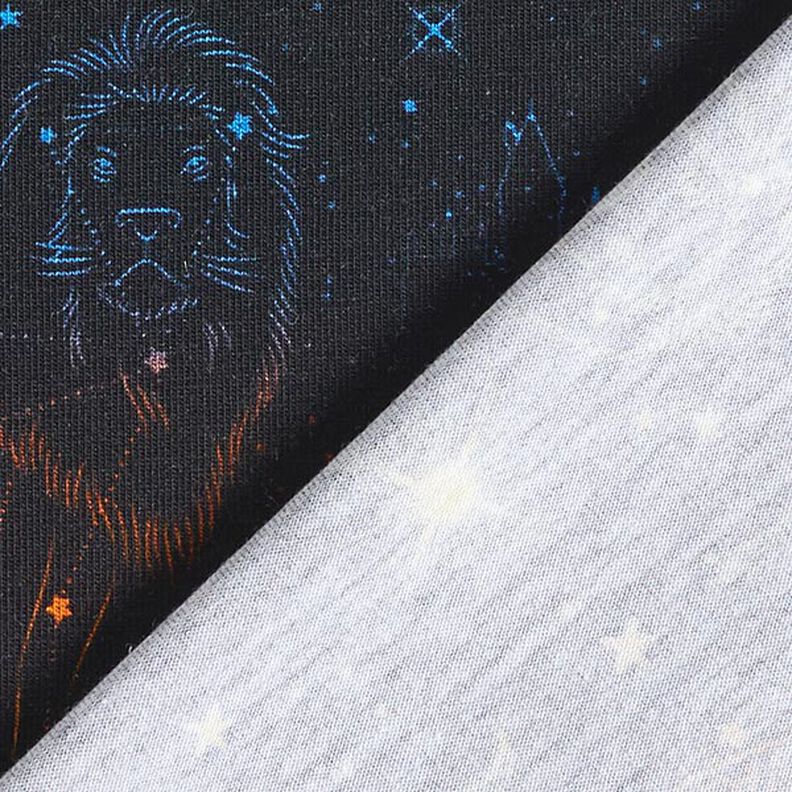 Jersey coton Tissu sous licence Emblèmes constellations Harry Potter  | Warner Bros. – noir,  image number 4