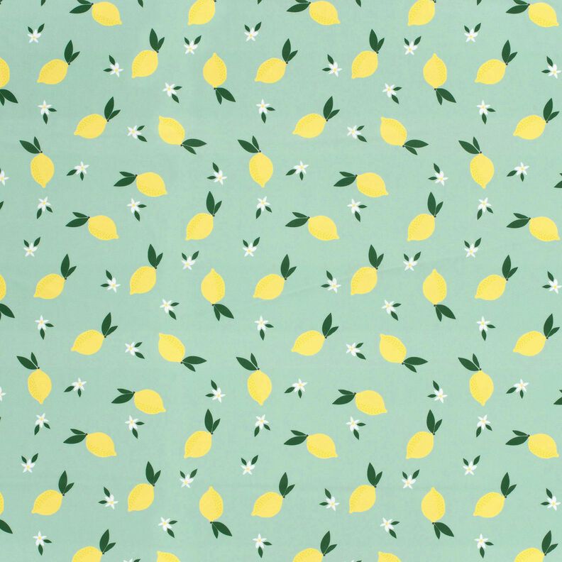Tissus pour maillot de bain UPF50 Zitronen – menthe clair/jaune citron,  image number 1