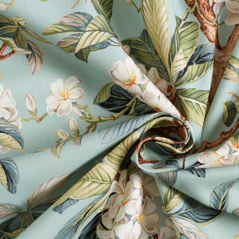 Tissu de décoration Canvas Arbre en fleurs – eucalyptus,  image number 3