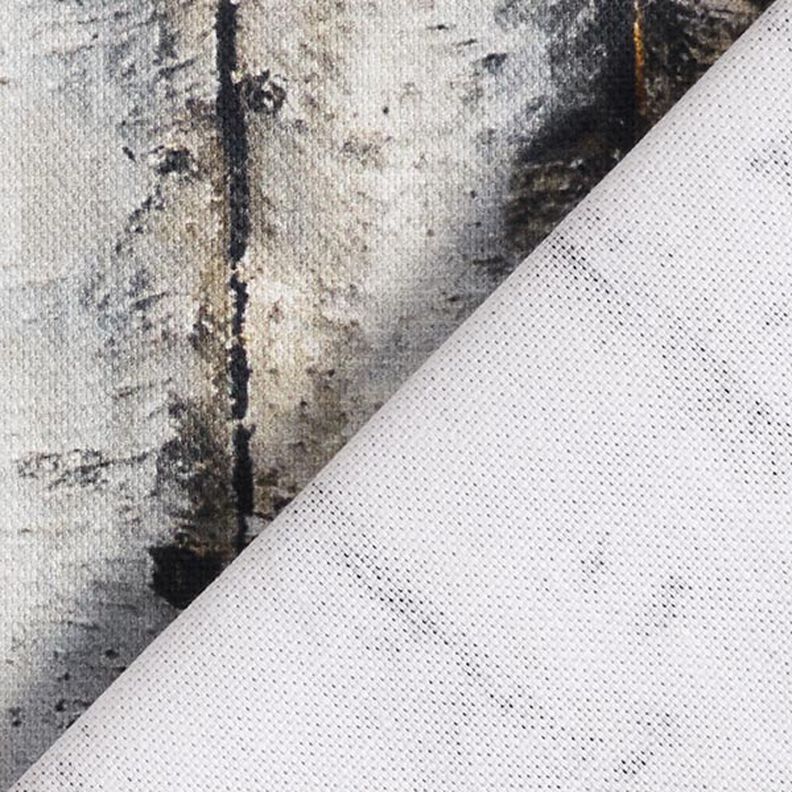 Tissu de décoration Semi-panama troncs de bouleaux – gris clair,  image number 4