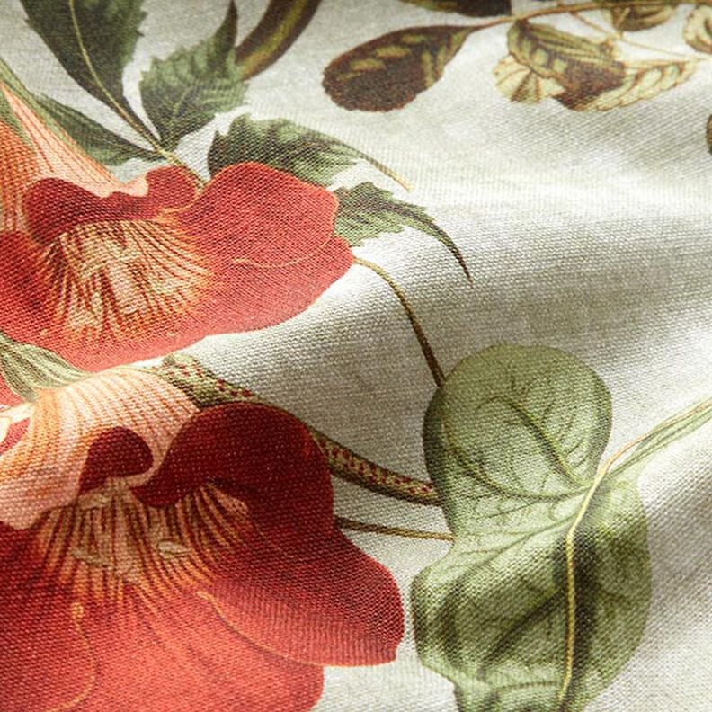 Tissu de décoration Toile Fleurs nostalgiques – roseau, image number 2