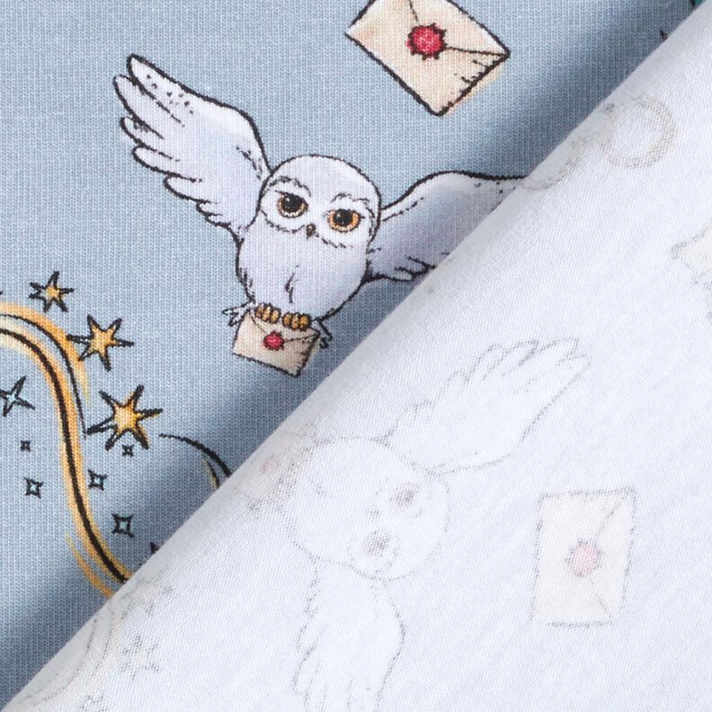 Jersey coton Le monde magique de Harry Potter | Warner Bros. – bleu clair, image number 4