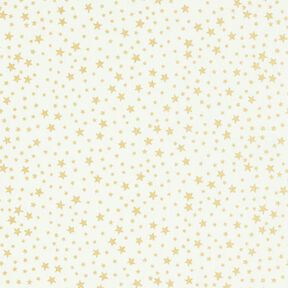 Tissu en coton Cretonne Ciel étoilé de Noël petit – blanc, 