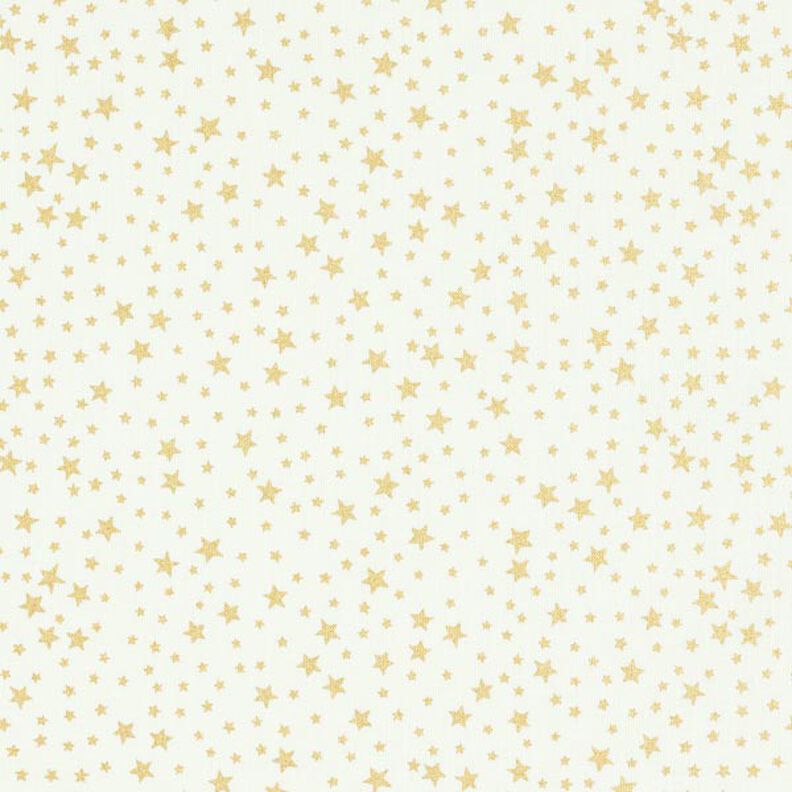Tissu en coton Cretonne Ciel étoilé de Noël petit – blanc,  image number 1