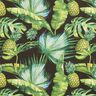 Tissu d’extérieur Canvas Ananas – vert herbe/noir,  thumbnail number 1