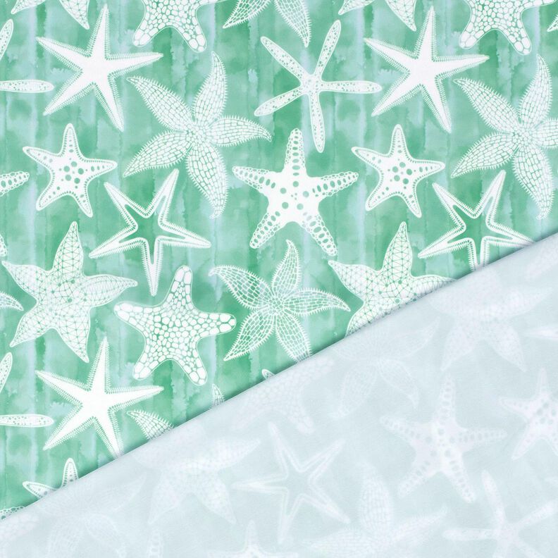 Tissus pour maillot de bain UPF50 Étoiles de mer – eucalyptus/blanc,  image number 4