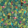 Tissu de décoration Semi-panama Oiseaux tropicaux – vert foncé/rouge,  thumbnail number 1