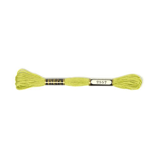 Fil à broder Metis 2557 | DMC 3819 | Anchor 278, 