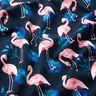 Jersey coton Flamant rose | Glitzerpüppi – bleu nuit/rose clair,  thumbnail number 2