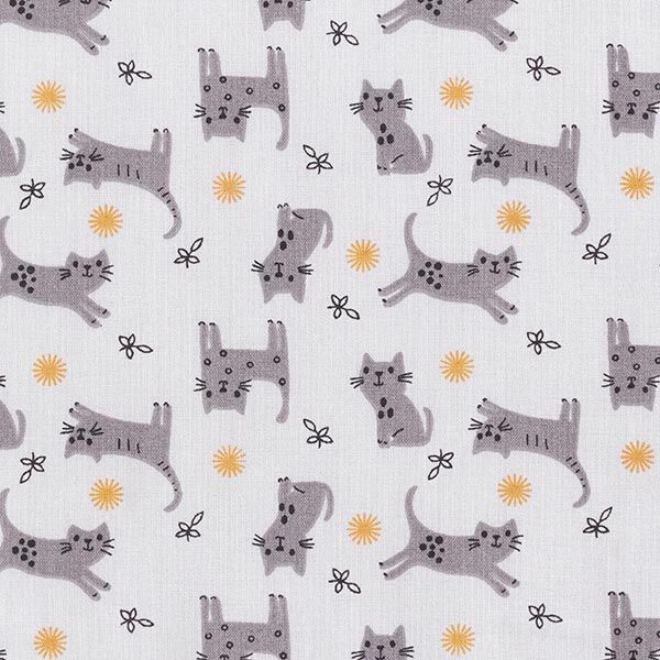 Tissu en coton Cretonne Chatons – gris clair, image number 1