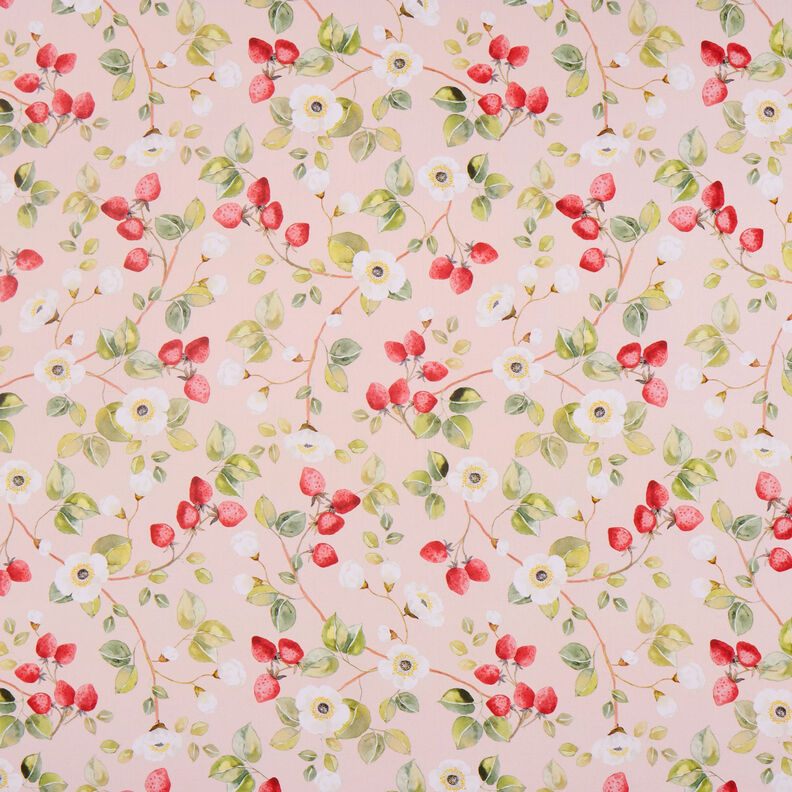 Tissu en coton Popeline Fleurs de fraisier – rosé/rouge,  image number 1