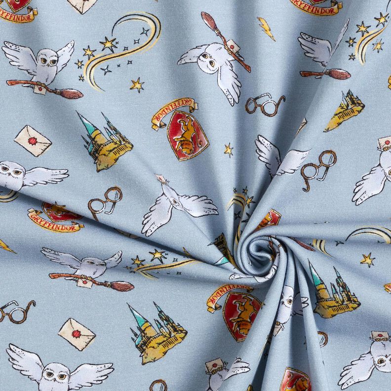 Jersey coton Le monde magique de Harry Potter | Warner Bros. – bleu clair, image number 3