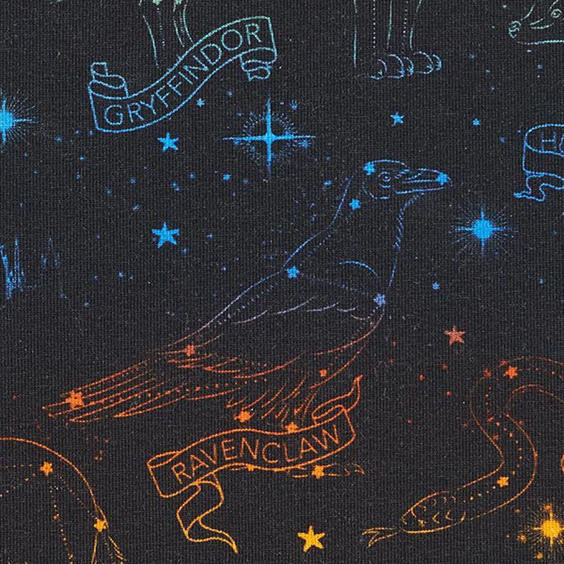 Jersey coton Tissu sous licence Emblèmes constellations Harry Potter  | Warner Bros. – noir,  image number 6