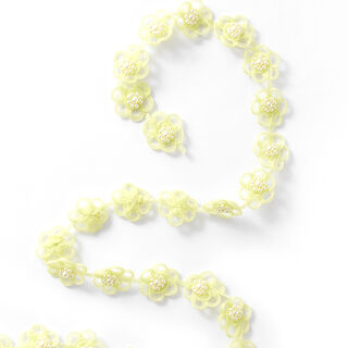 Ruban organza Fleurs [25 mm] – vert pastel, 