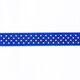 bleu roi