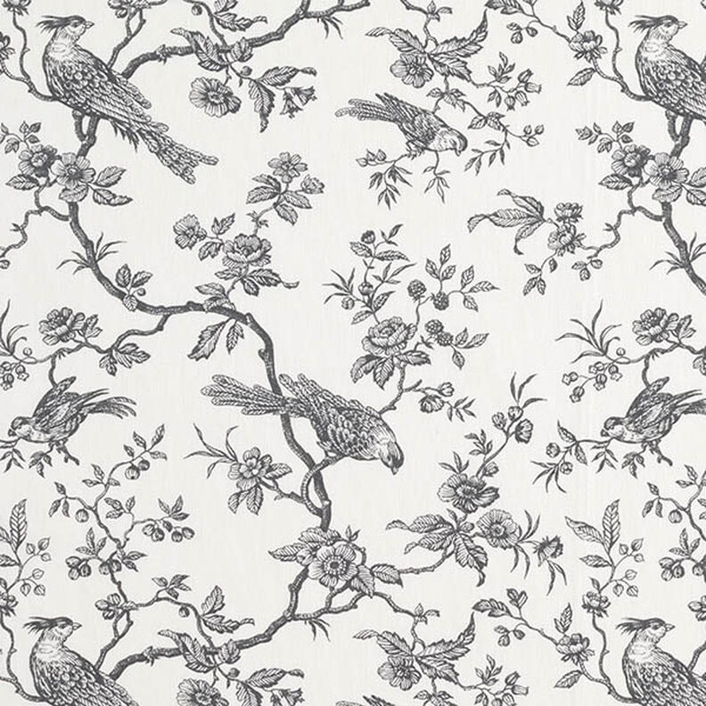 Tissu en coton Cretonne Oiseaux – gris schiste/écru,  image number 1