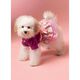 Robe pour chiens, KwikSew 4152,  thumbnail number 2