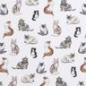 Popeline coton Chats heureux Impression numérique | Poppy Fabrics – blanc,  thumbnail number 1