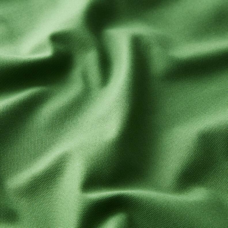 Tissu de décoration Canvas – vert,  image number 2