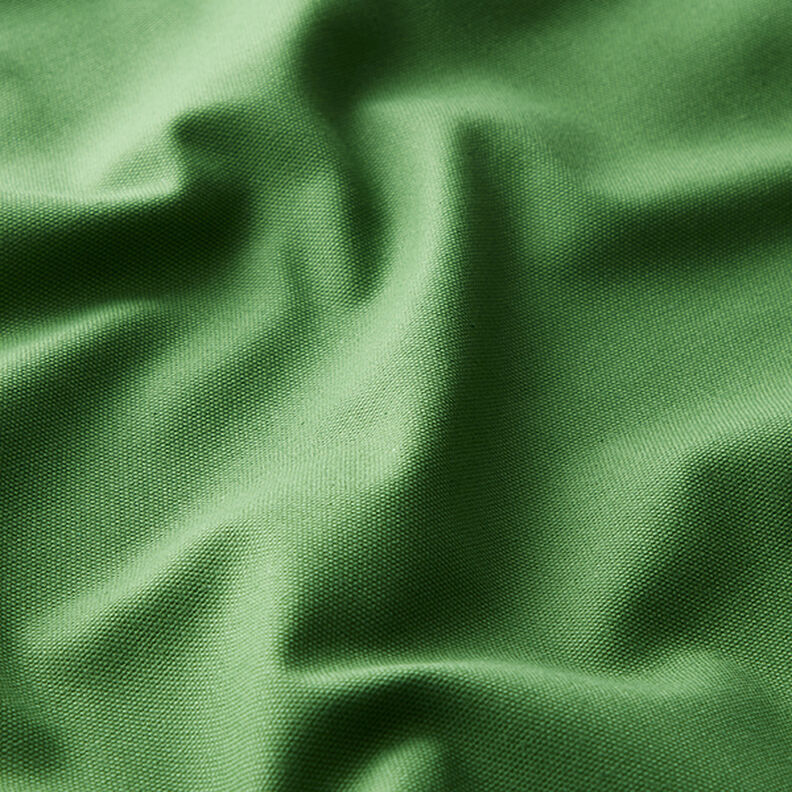 Tissu de décoration Canvas – vert, image number 2
