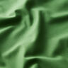 Tissu de décoration Canvas – vert,  thumbnail number 2