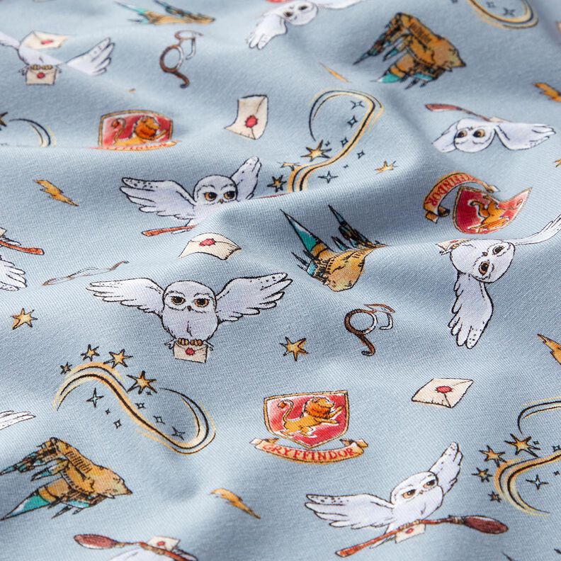 Jersey coton Le monde magique de Harry Potter | Warner Bros. – bleu clair, image number 2