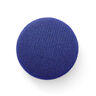 bleu roi