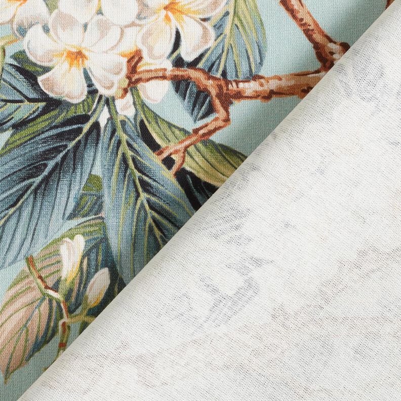 Tissu de décoration Canvas Arbre en fleurs – eucalyptus,  image number 4
