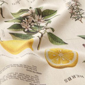Tissu de décoration Semi-panama Herbes aromatiques – nature/jaune, 